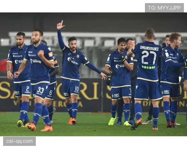 维罗纳2-2逼平那不勒斯 客场取宝贵一分